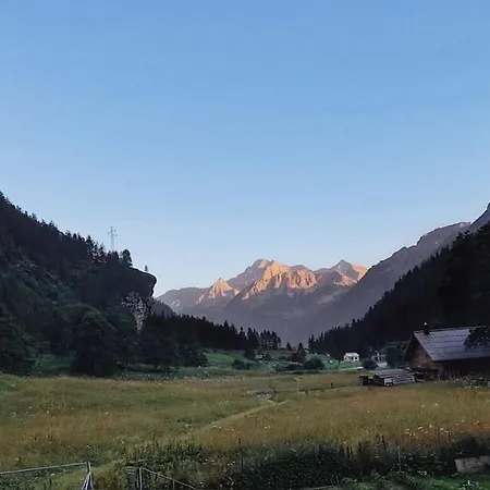 Casalpina